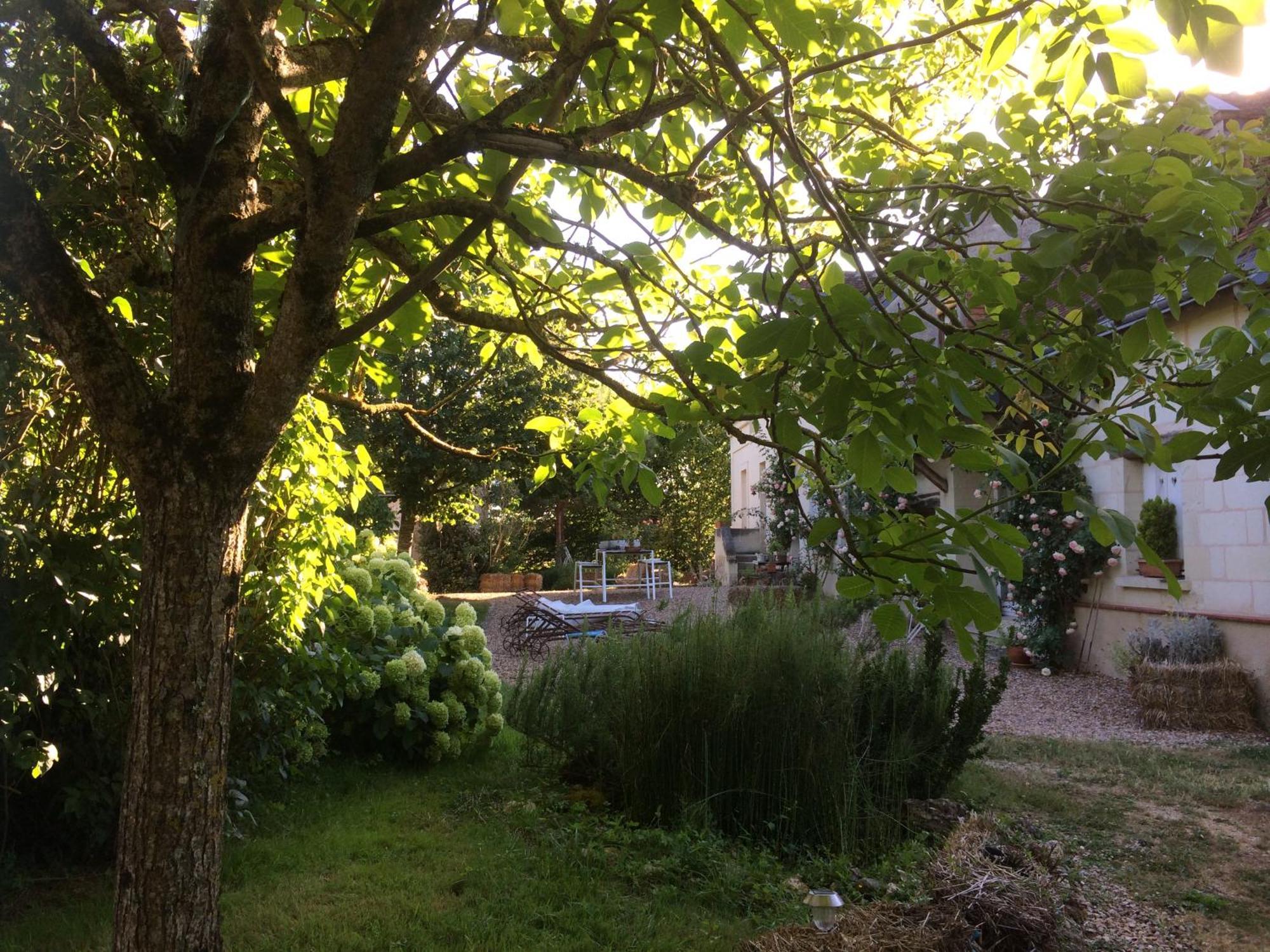 Une Maison, Un Jardin Berthenay ภายนอก รูปภาพ
